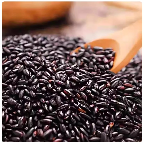 东北黑米新货黑龙江农家自种黑香米煮粥精选优质黑米正...